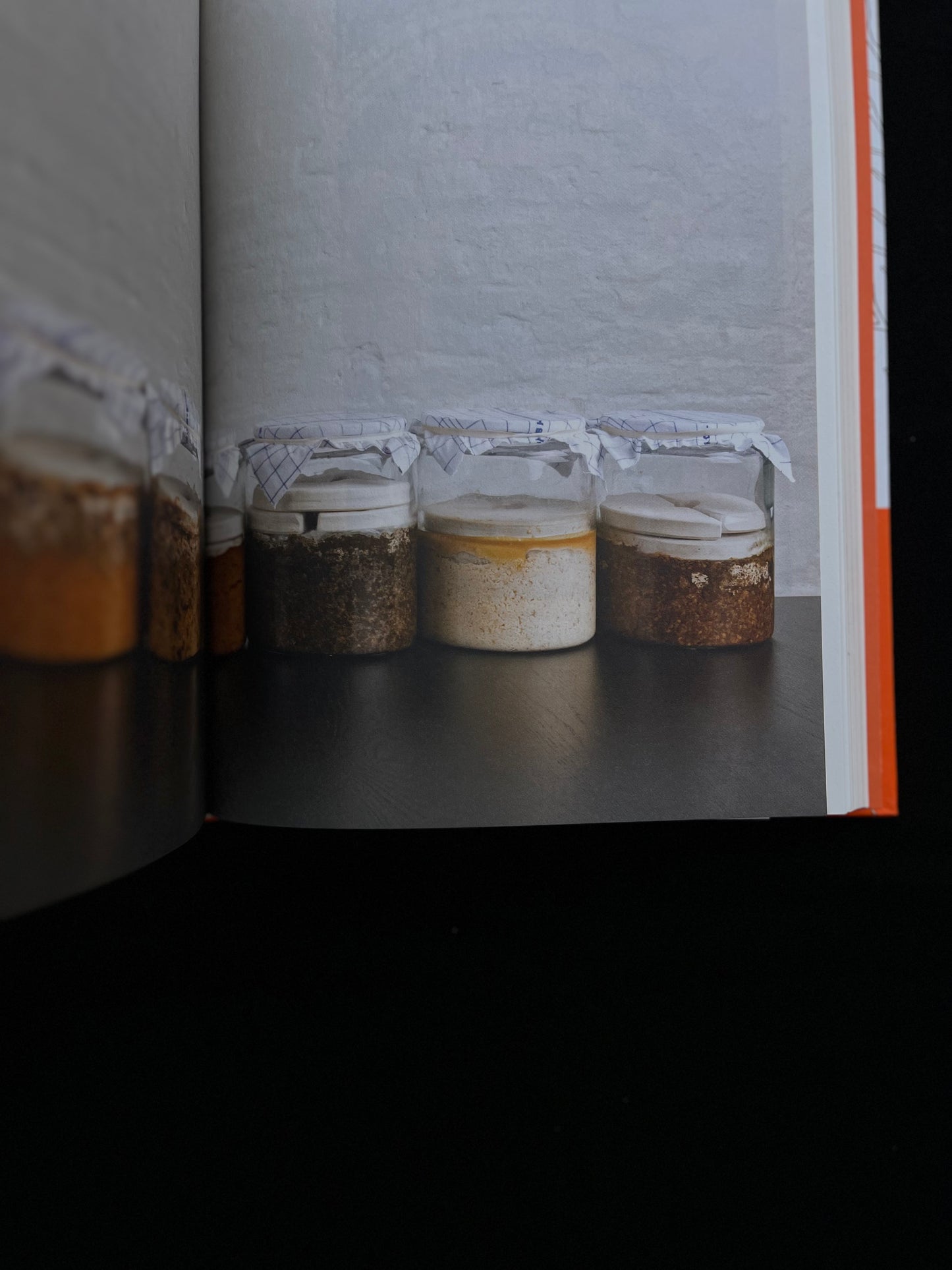 The Noma Guide to Fermentation