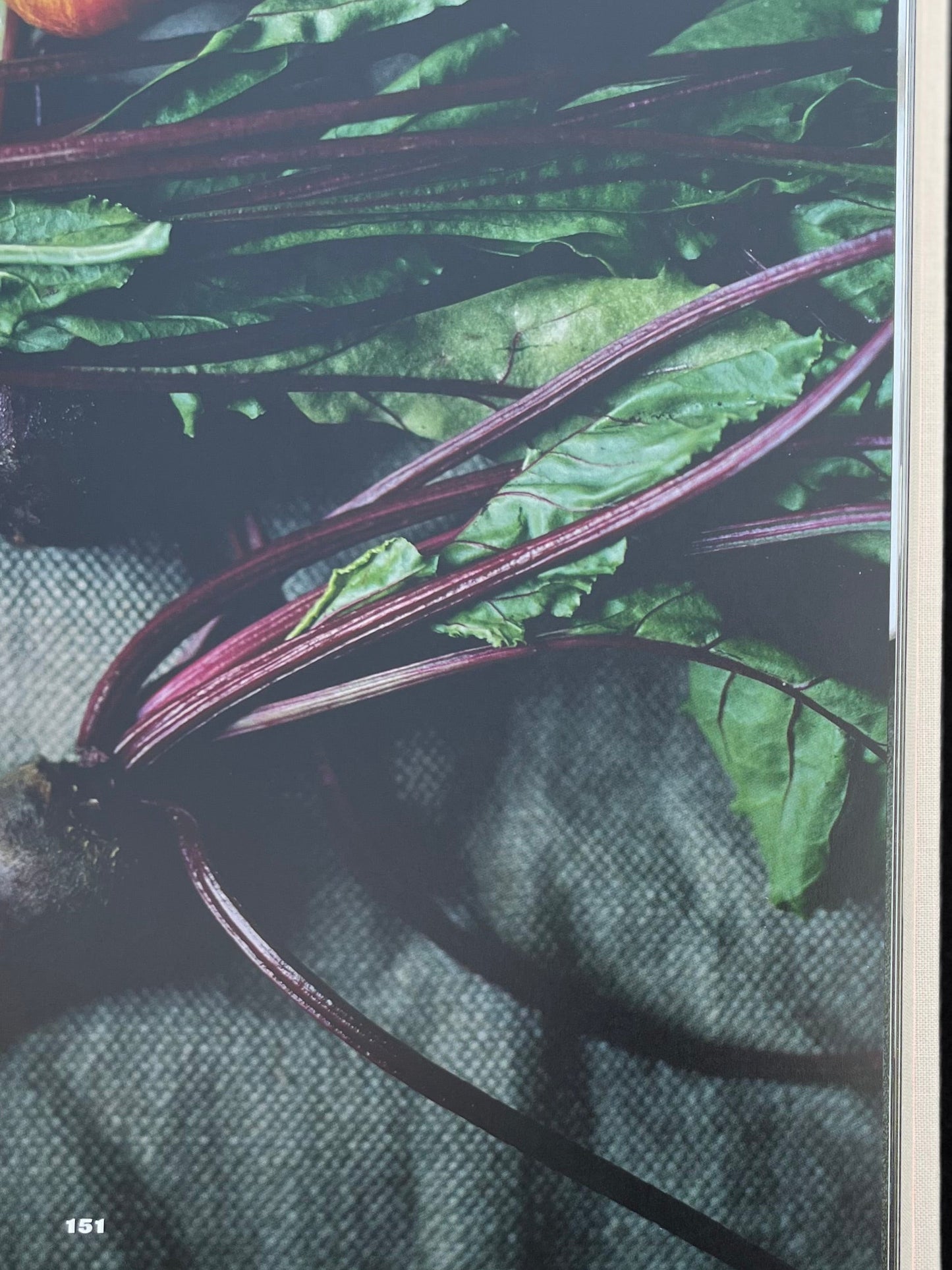 Noma: Time and Place in Nordic Cuisine