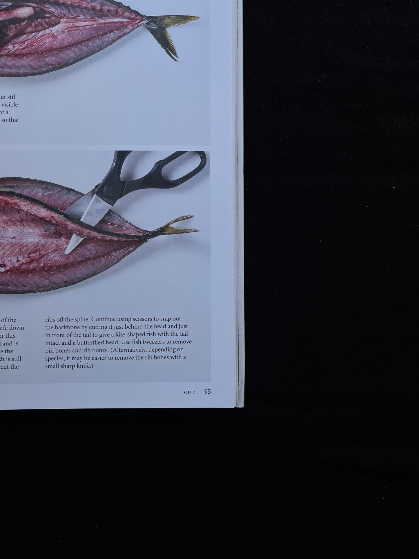 Fish Butchery: Mastering The Catch, Cut, And Craft