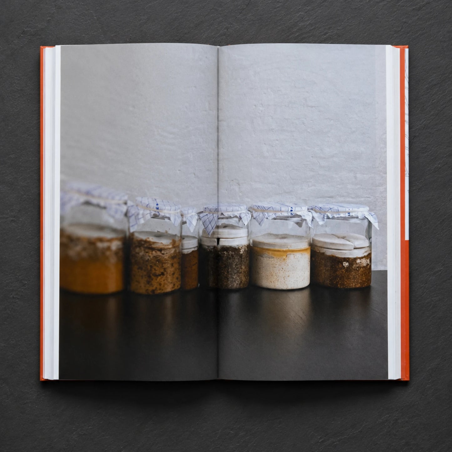 The Noma Guide to Fermentation