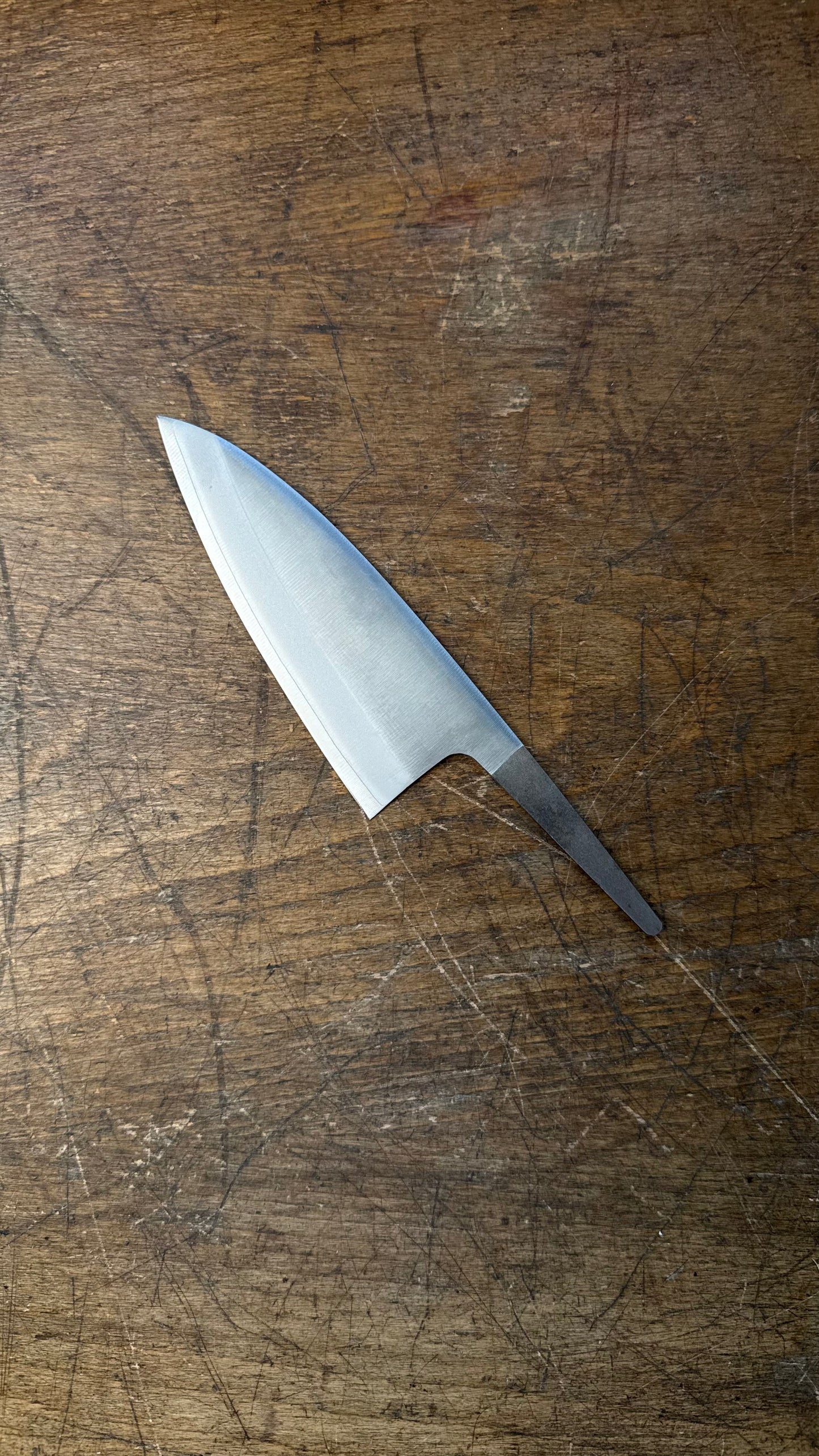 Čepel Tosa Tsuboya Ko-Deba 105mm Aogami no. 1