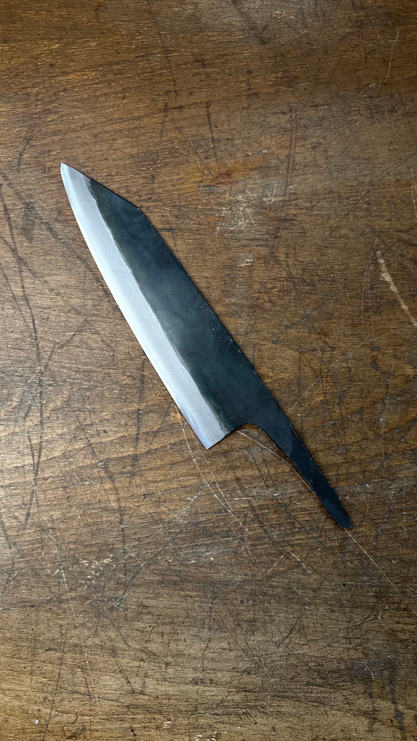 Čepel Tosa Tsuboya Kiritsuke 190mm Aogami no. 2