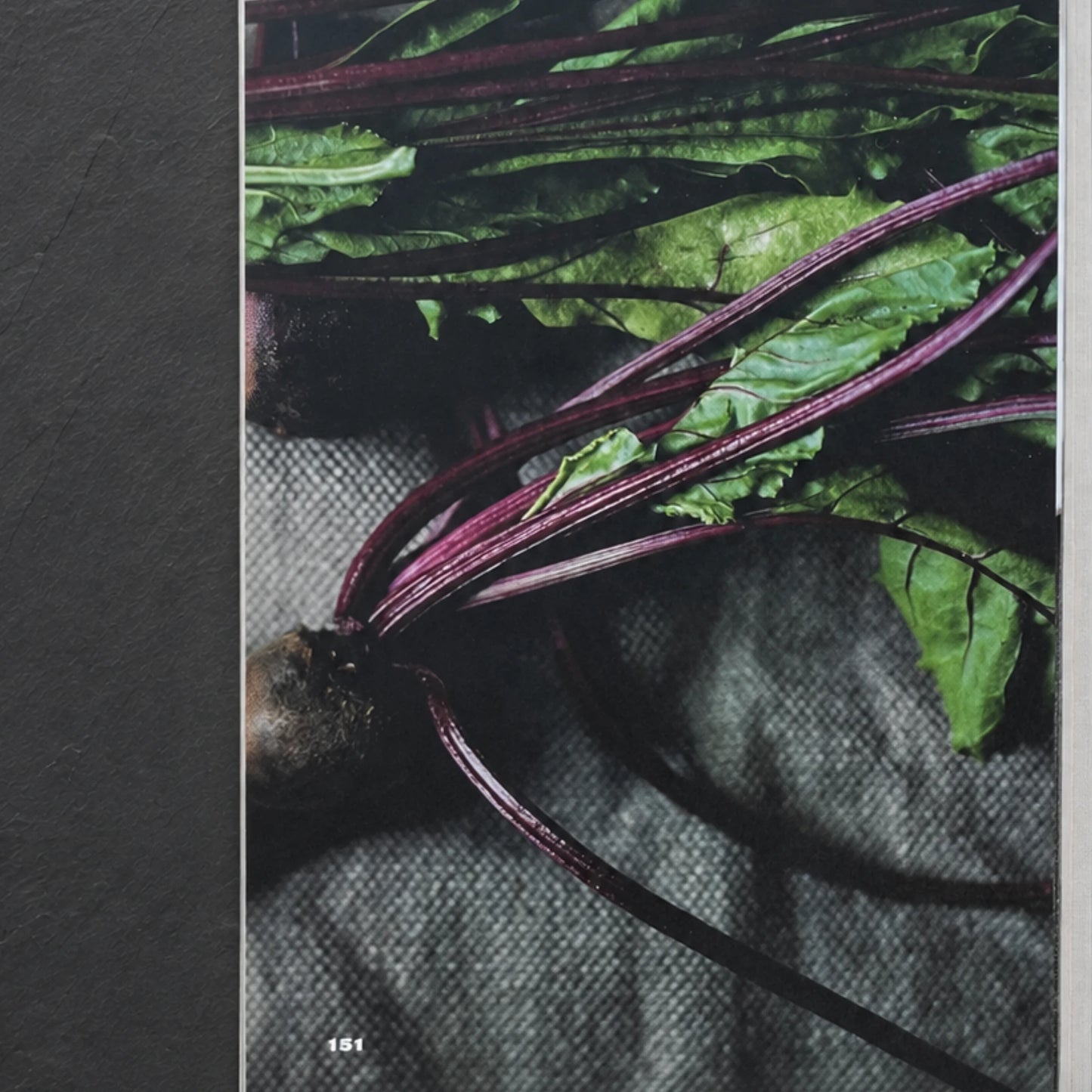 Noma: Time and Place in Nordic Cuisine